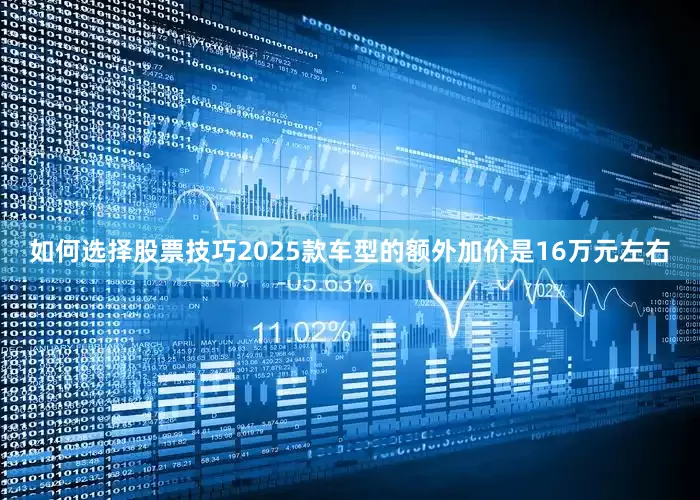 如何选择股票技巧2025款车型的额外加价是16万元左右